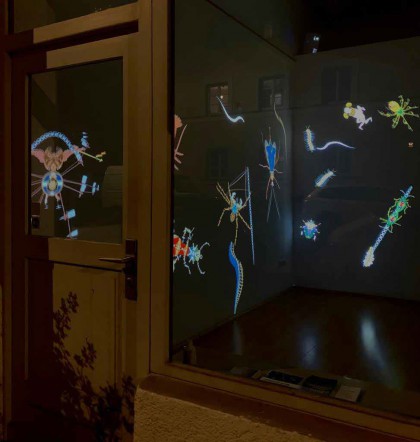 Insekten sind auch Cyborgs